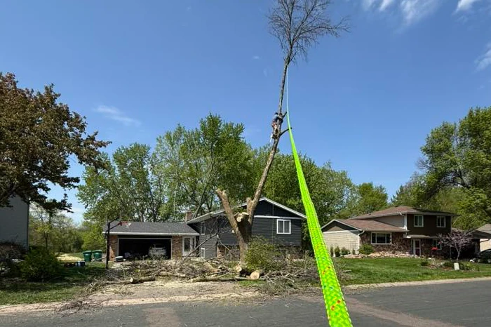 Emergency Tree Service