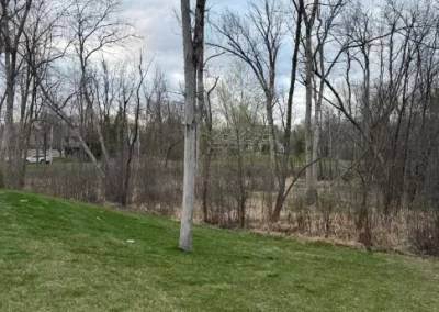 Exceptional Tree Cutting