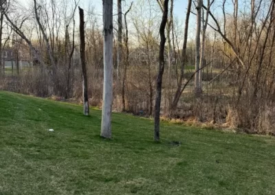 High-quality Tree Cutting