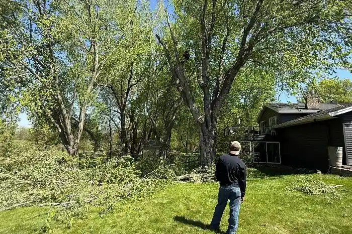 Tree Expert in St Paul, MN
