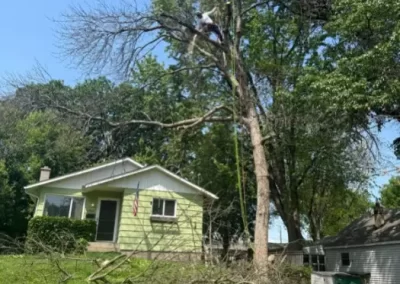 Affordable Tree Service
