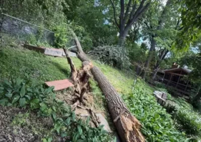 Outstanding Tree Service