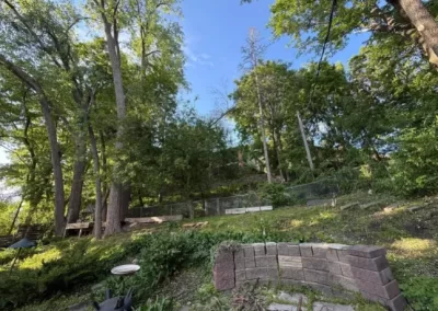 Trusted Tree Service